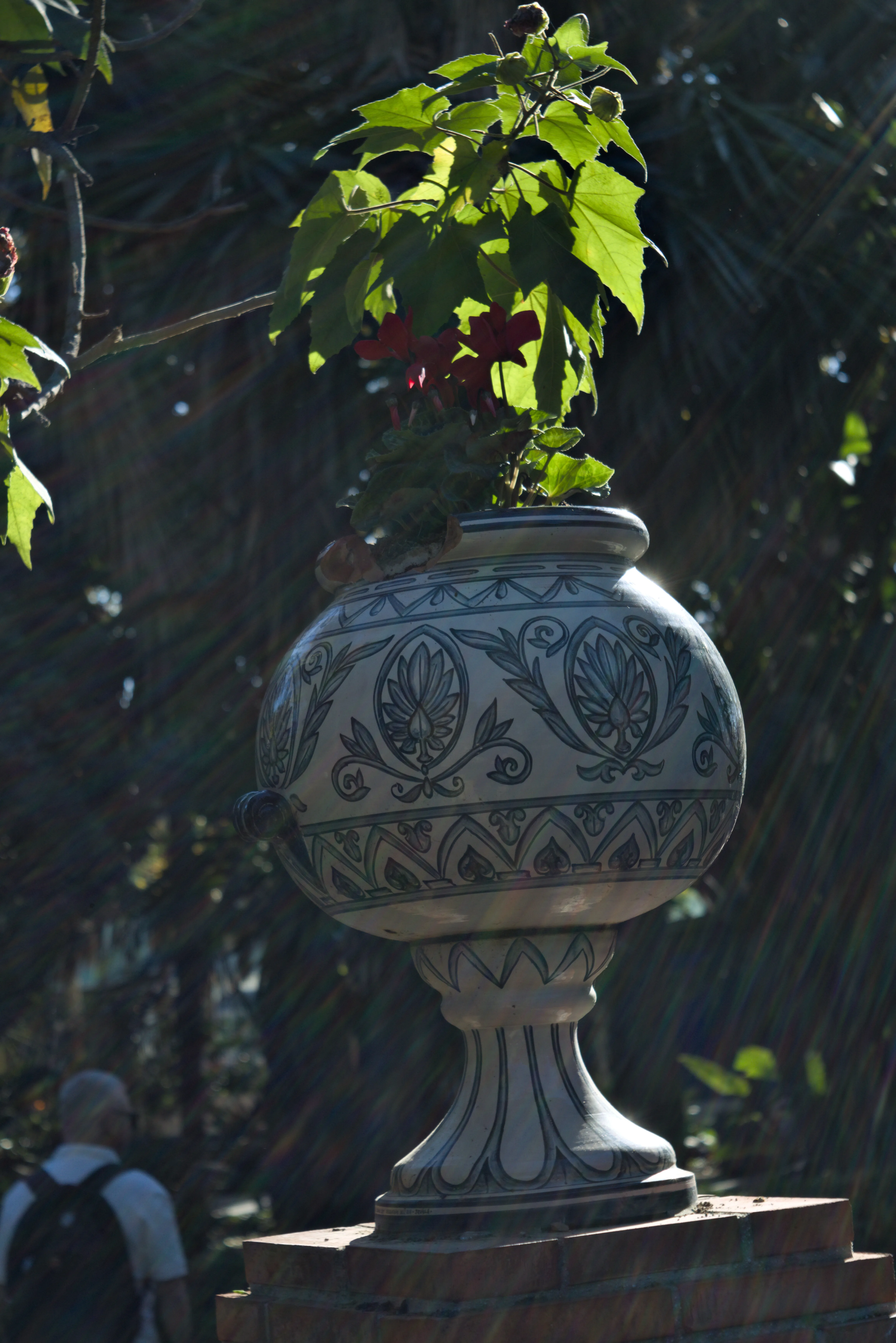 Industar-50-2 50mm f3.5 (M42) - _I4A2580.webp